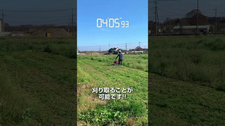 え!? こんなに刈れるの!!ハイガーの自走式草刈機🌱