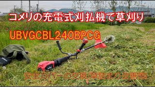 コメリの充電式刈払機で草刈り作業しました