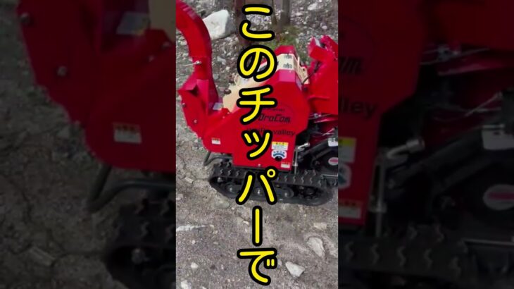 【砕く】【砕く】【砕く】切った枝木をチッパーで砕いてみた！#キャンプ #アウトドア #キャンプ場 #作業用 #チッパー