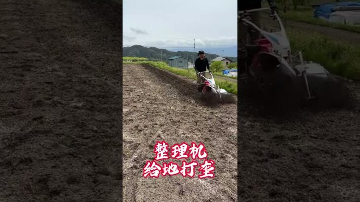 耕運機と管理機すごくない？