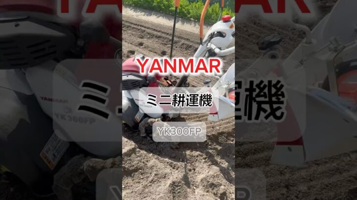 ミニ耕運機の登場です👩🏻‍🌾