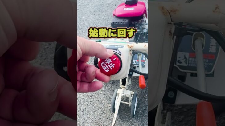 【耕運機】家庭菜園の畑作りなら小型耕運機がおすすめ！操作方法がわかる！【農機具王子のこれ使ってみて】 #農業初心者 #耕運機 #家庭菜園