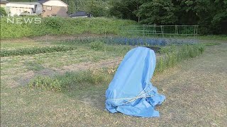 耕運機で畑を耕していた66歳男性が死亡　回転部分に右足が入ったか　富山・南砺市(2025年6月8日)
