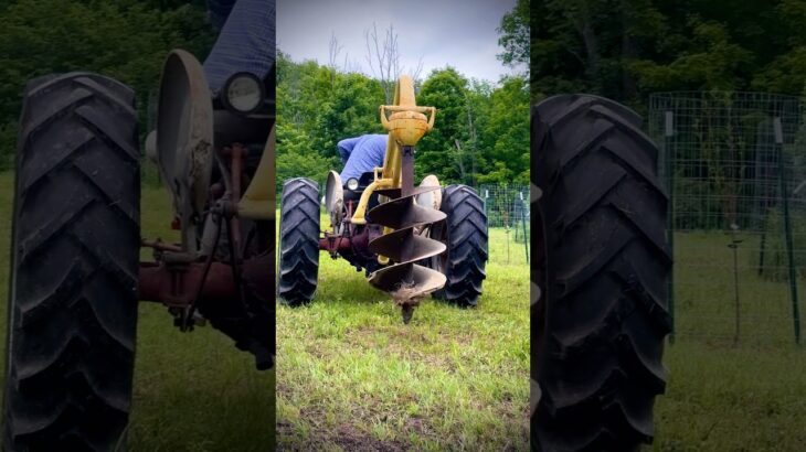 Digging tree pits for our fruit orchard with our Ford 871 tractor & Danuser F8 post hole digger