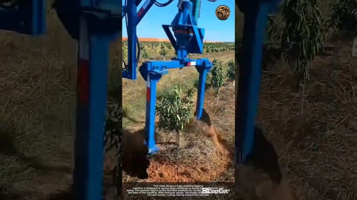 The process of huge seedling digging machine Good tools and machinery can increase work efficiency