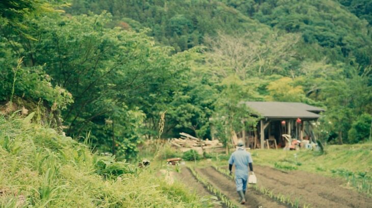 Tiller Fixes & Fieldwork: Just Another Real Day on the Homestead | 耕運機の修理と夏野菜の準備