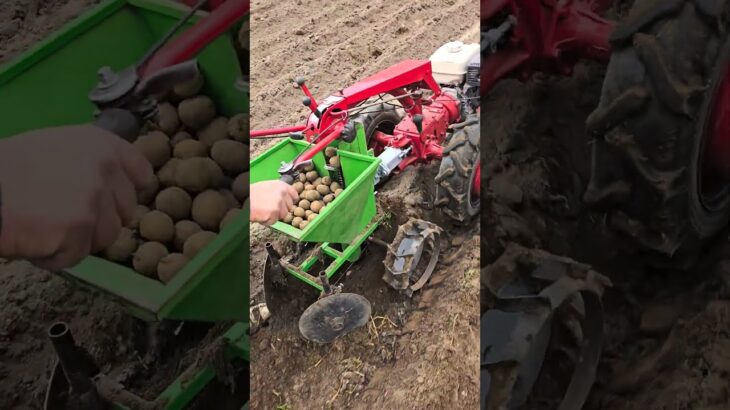 Работай с желанием и будет результат. Мотоблок. #агротехнологии #farming #agriculture