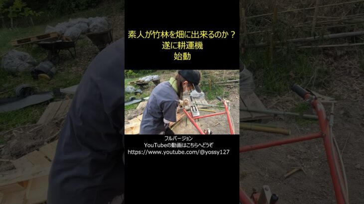 素人が竹林を畑に出来るのか？　遂に耕運機　始動開始　編　竹林の伐採、伐根を終え耕運機　始動となります。