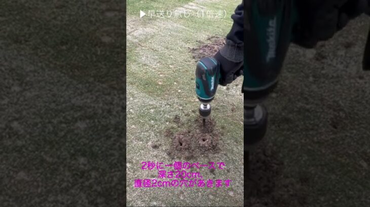 【芝生】ドリルエアレーション最速チャレンジ