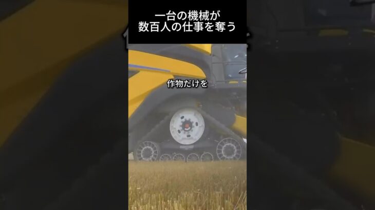 “一台の機械が数百人の仕事を奪う” #農業の未来 #自動化 #コンバイン