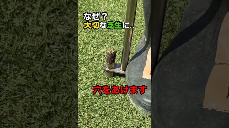 芝生に穴をあける理由を知ってますか？