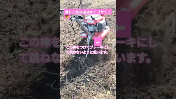 暴れん坊耕運機のトリセツ♪#トリセツ#畑#音楽 　庭師マルじゅんブログ🐸☘️✨🍝🥗
