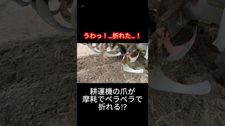 点検してたら、まさかの…#農業 #農家の日常 #トラクター #メンテナンス #耕運機 #点検大事 #あるある #金属疲労 #爪折れた