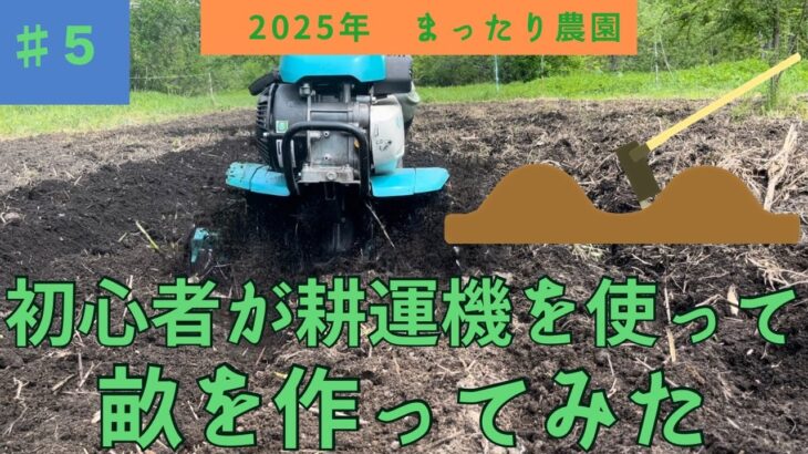 [2025年耕運機を使って畝を作りました]  まったり農園　#5 初心者が耕運機で畑に畝を作ってみた