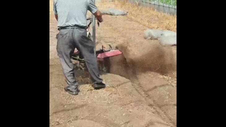 7HP Power weeder #tiller #powertiller #weeder #powerweeder #культиватор #耕運機 #minitiller