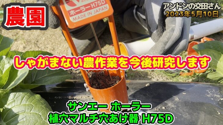 【家庭菜園・農業】夏野菜の定植前(END)！ 移植機「サンエー ホーラー 植穴マルチ穴あけ器 H75D」について！ しゃがまない農作業を目指す！ 2023/05/10