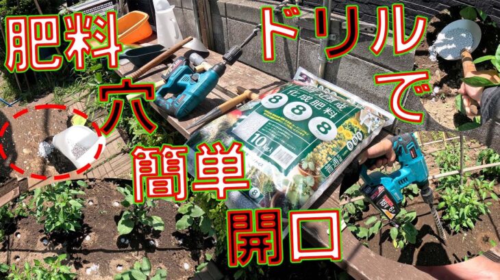 【肥料穴はドリルで開ける😅】アースドリルで株元四方に穴を開け大量投入します👨‍🌾腰を曲げずに楽々作業です😉オイルジョッキが便利👍【三菱商事アグリサービス　MAC　普通化成肥料　8-8-8　10kg】