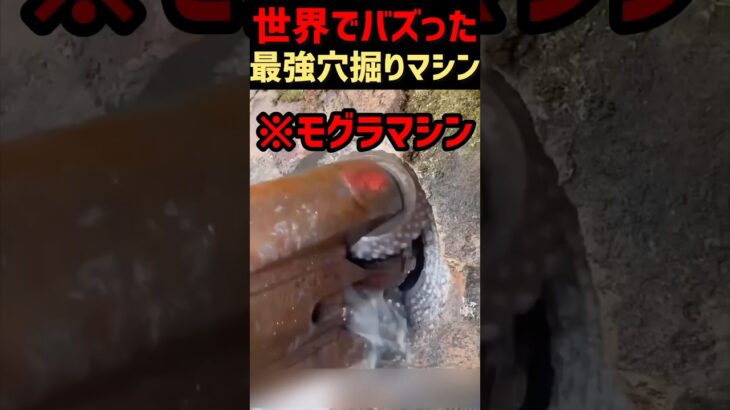 これが“最強穴掘り機”の実力です