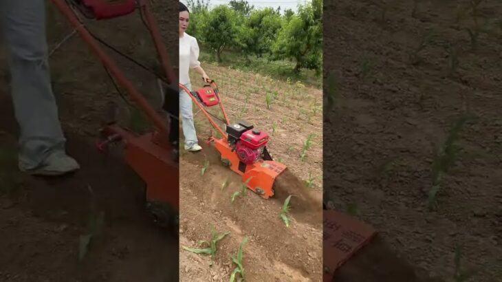 @ weeding machine micro tillage manufacturernow#dieselweedeater #petrolweedeater#hoeingmachine #