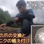 【田舎暮らし自給自足】耕運機の爪の交換とニンニクの植え付け【何気ない農家の日常】【10月】