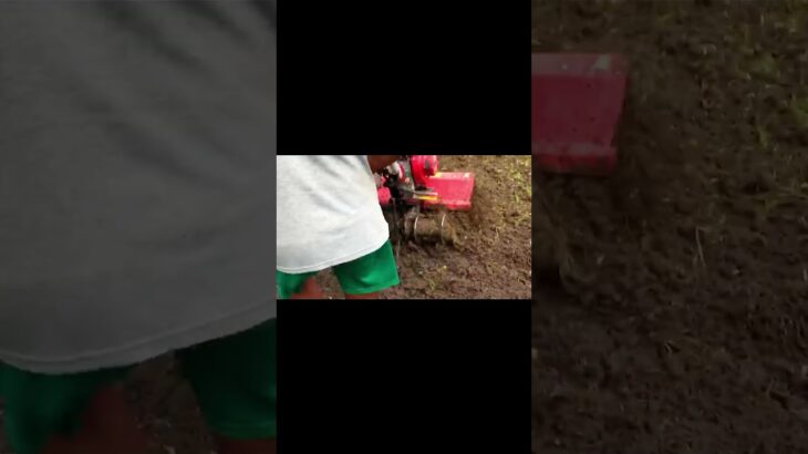 4WD power weeder #weeder #powerweeder #powertiller #tiller #культиватор #耕運機 #minitiller