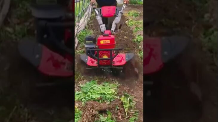 7HP Power weeder #weeder #tiller #powertiller #культиватор #耕運機 #powerweeder