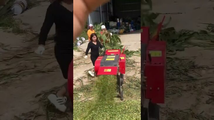 Author#Haycutter #Grass Crusher #Haycutter #Animal Farming Machinery