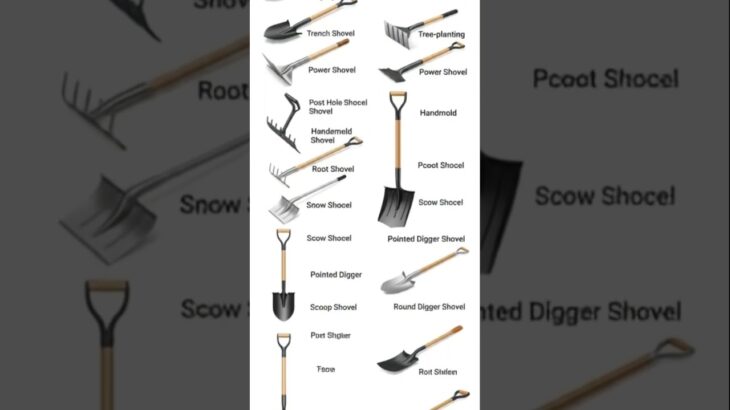 Different types of Shovels #plant-development #gardening Edging Shovel