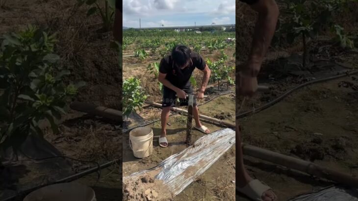 New-type agricultural hole-digger #Sannong #Digger #Hole-digger #Hole-spade #agricultural #farmtools