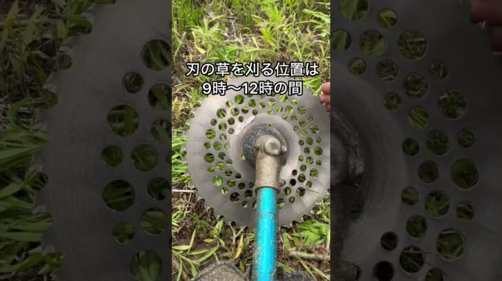 【プロが教える】草刈りが上手くなるコツ　#雑草対策 #ガーデニング #howto