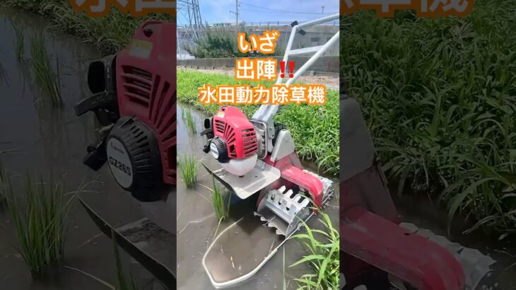 いざ出陣！動力水田除草機ミニエース。