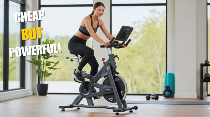6 Best Exercise Bikes Under $500! Fitness on a Budget