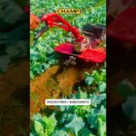 CHAMP PTG500 POWER  WEEDER | MADE  IN INDIA