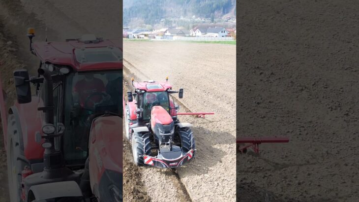 Case IH Puma 200 cvx AFS + Grimme BF 200  #agriculture #landwirtschaft #farming #caseih