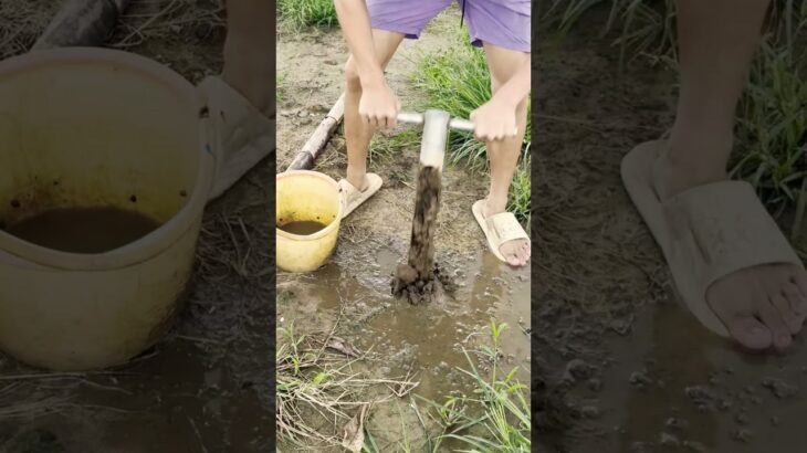 👉  Easy Hole Digger Tool for Farming & Gardening 🌱#shortsfeed #agriculture #shorts