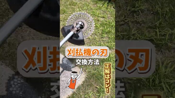 初心者必見！草刈機の刃の交換手順と選び方！#shorts