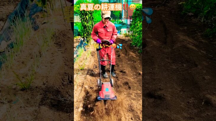 購入した耕運機がやばい‼️凄かった‼固い土も簡単にふかふかになり、これで収穫量増やせられます〜😀💕