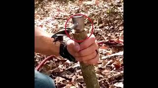 木工用手動ドリル