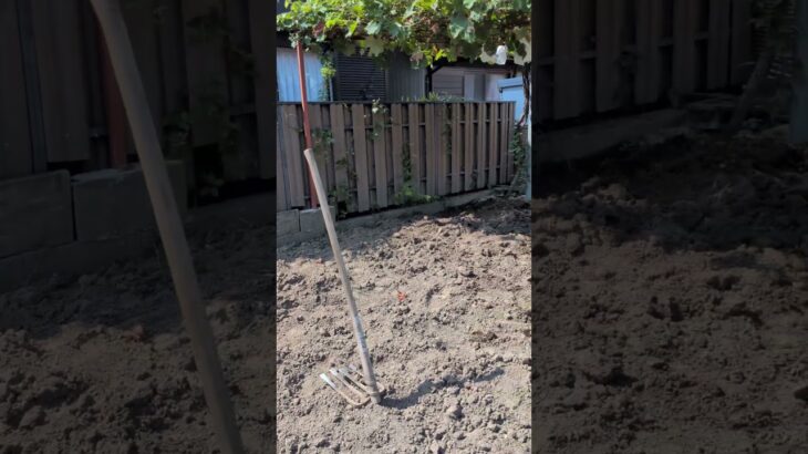 役立たずの耕運機  ガソリンを使い切っておいたのにエンジンが掛からず。汗だくで耕し、手に豆。#耕運機