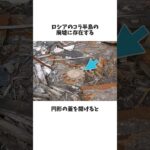 ロシアに存在する地獄の門とは？ #雑学