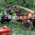 初挑戦】人生初の耕運機操作で畑を耕す！初心者スタッフの自然体験レポート