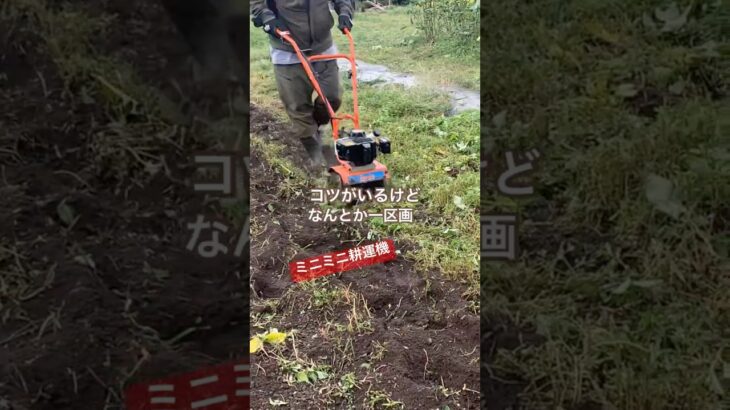 耕運機も初めて使う。ミニミニだからか、土が柔らかすぎなのか、めり込んで進まん #家庭菜園　育った苗を畑に植える#2