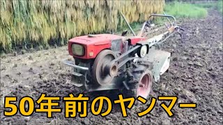 50年前のヤンマーディーゼル耕運機YS６ 稲刈り後の田起こし　50year old Yanmar Diesel type “YS6” cultivator plowing.