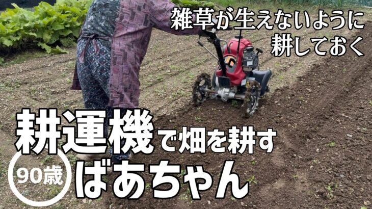 【畑仕事】雑草が生えないように畑を耕運機で耕す90歳のばあちゃん【田舎暮らし】【vlog】