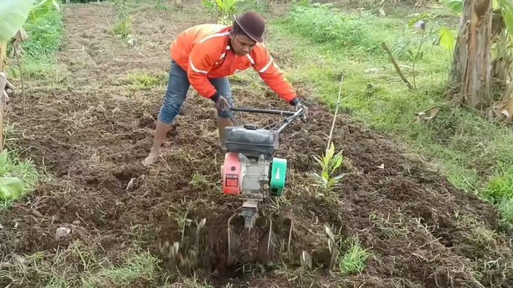 Review Jujur 2 Tahun Pemakaian Traktor Mini Cultivator – Masih Kuat atau Sudah Lemah?