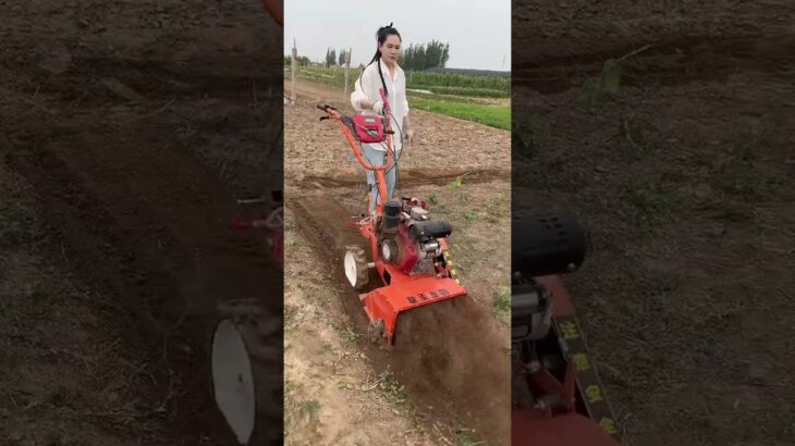 #ditching machine #weeding machine #micro-tillage machine #support nationwide deliveryOne