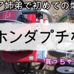 ホンダ　プチな購入🍅 初めての家庭菜園🍆🥒　素人菜園😎