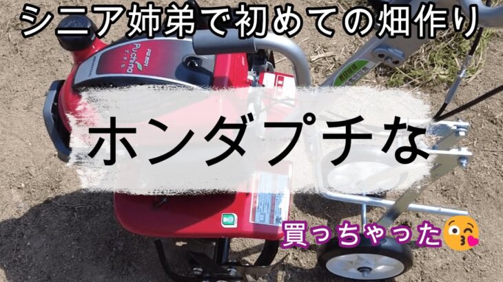 ホンダ　プチな購入🍅 初めての家庭菜園🍆🥒　素人菜園😎