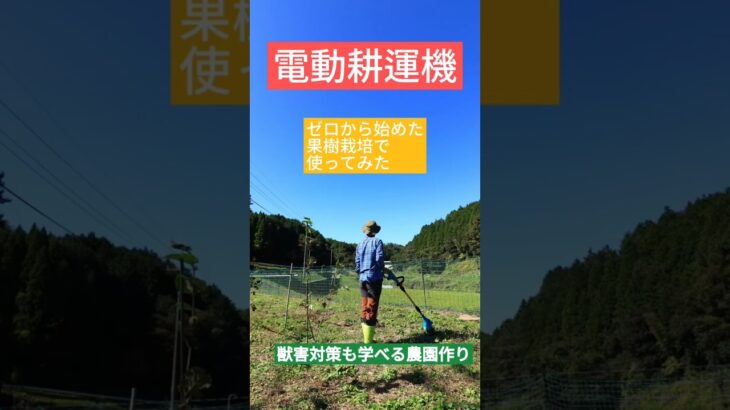 獣害対策も学べる農園作り【初めて電動耕運機を使ってみた】ゼロから始めた果樹栽培と獣害対策 #獣害対策 #家庭菜園 #田舎暮らし #邑南町