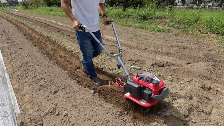 雑草取りが劇的にラクに！ホーとミニ耕運機を使った農家直伝テクニック